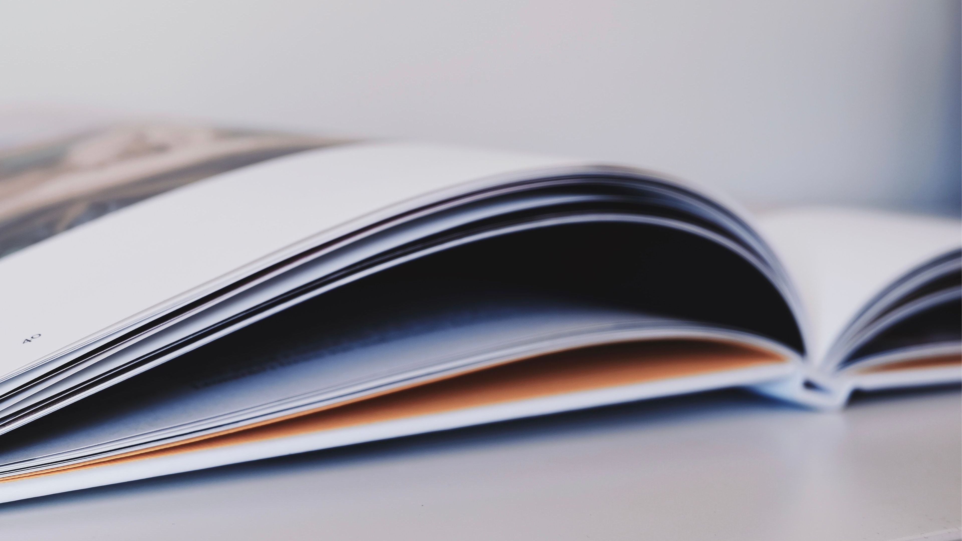 Borsa della Ricerca | Pocket